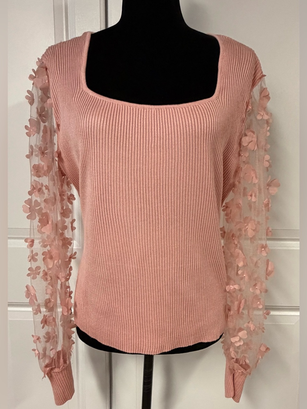 No Boundaries Sheer Appliqués Sleeves Sweater